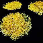 Strong Adhesion Alcohol Soluble Polyamide Resin CAS No 63428 84 2 for sale
