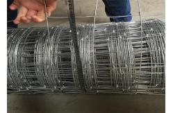 China Hinge Joint Fence With Free Samples 50m-100m Length And 3ft - 8ft Height supplier