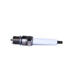 Double Electrode Iridium Spark Plug For  And Jenbacher Generator Set