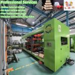 Full Automatic Egg Plastic Tray Making Machine Plastic Fruit Boxes Plastic Thermoforming Machine for sale
