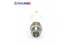 China Platinum Iridium Generator Spark Plug For Champion R2B5N STITT R80L supplier