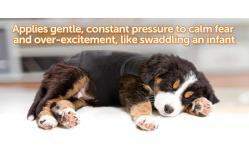 China  				Anti Anxiety and Stress Relief Calming Coat for Dogs 	         supplier