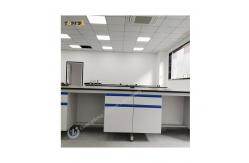 China Customizable Lab Wall Bench Length*W750*H850mm Easy Installation supplier