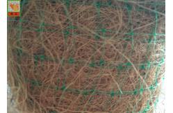 China Plastic Netting For Erosion Control Matting , Polypropylene Erosion Control Mesh supplier
