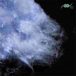 Non Fluorescent 51mm Polyester Staple Fibers 9D For Non Woven Fabric for sale