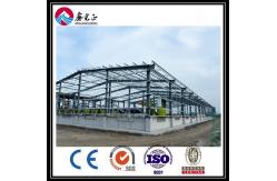 China OEM Galvanized Steel Structure Building supplier