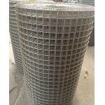 14 Gauge Welded Steel Wire Mesh Galvanized Square Netting In Roll And Sheet