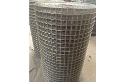 China 14 Gauge Welded Steel Wire Mesh Galvanized Square Netting In Roll And Sheet supplier