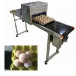 High Speed Egg Date Code Printing Machines With Continuous Spray Printing Function