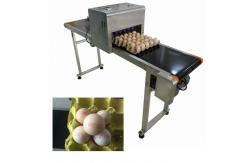 China High Speed Egg Date Code Printing Machines With Continuous Spray Printing Function supplier