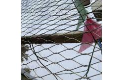 China 304  316L Stainless Steel Mesh Netting Aviary Mesh Zoo Wire Rope Mesh supplier