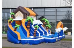 China Commerial Outdoor Inflatable Water Slides Waterproof For school supplier
