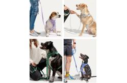 China Neoprene Leash Collar Combo Adjustable Soft PVC Red Collar And Leash supplier