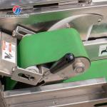 1200KG/H Vegetable Processing Machine Agricultural Automatic Fruit Cutter