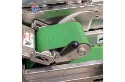 China 1200KG/H Vegetable Processing Machine Agricultural Automatic Fruit Cutter supplier