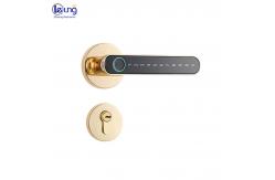 China Black Gold Smart Lock Unlock Ble App Controlled Front Door Lock supplier