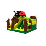 Commercial Grade Inflatable Ladybug Bouncer Jumping Castle Inflatable Combo