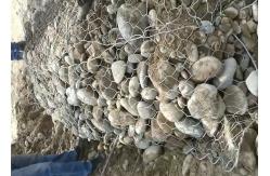 China Sack Stone Wall Wire Cage Gabion Columniform Bag Woven Mesh ISO9001 Approved supplier