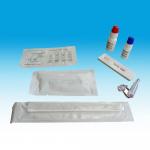Rapid Diagnostic Urine Swab Gonorrhea Rapid Test Kit Strip At Home for sale