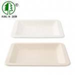 Microwavable Sugarcane Bagasse Biodegradable Food Trays Eco Friendly Disposable Plates for sale