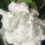 Industrial Recycled Polyester Fiber Fine Diameter For PSF Spandex Fabric for sale