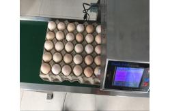 China Original Egg Print Silver Head For Inkjet Printer One Year Warranty supplier