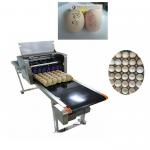 Egg Inkjet Coding Equipment / High Speed Inkjet Printer With Six 45ml Ink