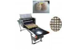China Egg Inkjet Coding Equipment / High Speed Inkjet Printer With Six 45ml Ink supplier