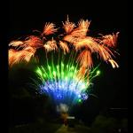 Mandarin Customized Consumer Cake Fireworks Special Effects 2023 for sale