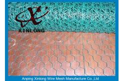 China Silver / Green Galvanised Chicken Wire For Farm Normal Hexagonal Wire Mesh supplier