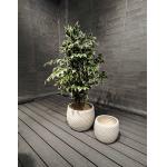Frost and Fire Resistant Fiber Clay Planter with Smooth Surface