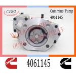 Diesel Engine Parts Fuel Injection Pump 4061145 4061206 4061228  For Cummins NTA855