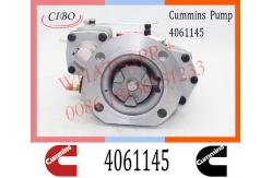 China Diesel Engine Parts Fuel Injection Pump 4061145 4061206 4061228  For Cummins NTA855 supplier