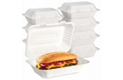 China Customized takeaway burger box biodegradable sugarcane bagasse container clam shell box supplier