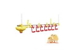 China Customizable Poultry Feeder Drinker MOQ 100pcs supplier
