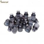 Wholesale Beekeeping Tools Apiculture Plastic Queen Bee Cell Cups For Beekeeping for sale