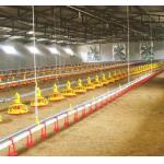 Water Line Automatic Pan Feeding System Chicken Poultry Nipple Drinking Equipment for sale