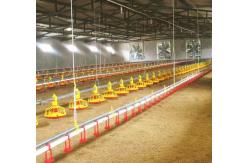 China Water Line Automatic Pan Feeding System Chicken Poultry Nipple Drinking Equipment supplier