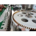 Automatic Liquid and Powder Automatic Liquid Filling Machine Filling Capping Machine with Accuracy