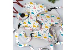 China Reversible Small Dog Harness And Leash Set Luxury Fashion Dog Walk Set supplier