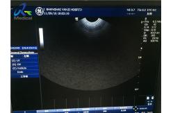 China Microconvex Used Ultrasound Probe For Endocavity supplier