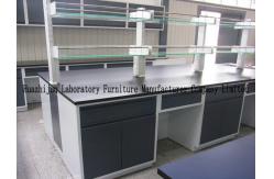 China Hight Adjustable Laboratory Desk Furniture Island Bench 2 Layers Reagent Shelf supplier