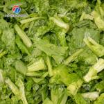 Single tank vegetable washing machine Fruit Orange Vegetable Leaves Vegetables sward beans  soybeans  green beans  Onions Herbs Wash Washer Washing Cleaning processing production