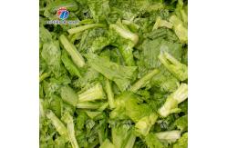 China 380V 240KG Diffusion Injection Fruit And Vegetable Washing Machine Easy To Operate supplier