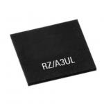Microcontroller MCU R9A07G063U01GBG
 1 Core 64-Bit ARM Cortex-A55
 for sale