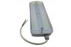 China 3 Hours Operation Rechargeable Waterproof Emergency Light Led Emergency Bulkhead IP65 supplier