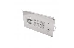China IP65 Oxidation Resistant Vandal Proof Intercom Flush Mounted Analog Telephone supplier
