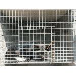 Breeding Galvanized Welded Steel Wire Mesh 3.0mm Aquaculture Net for sale