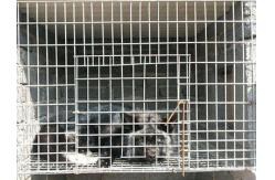 China Breeding Galvanized Welded Steel Wire Mesh 3.0mm Aquaculture Net supplier