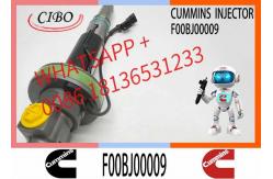 China Engineering Machinery QSK19 Truck Engine System Accessories F00BJ00009 Diesel Fuel Injector supplier
